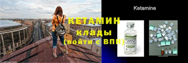 стаф Алексин