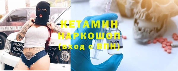 стаф Алексин