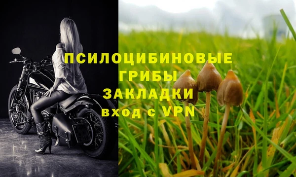 стаф Алексин