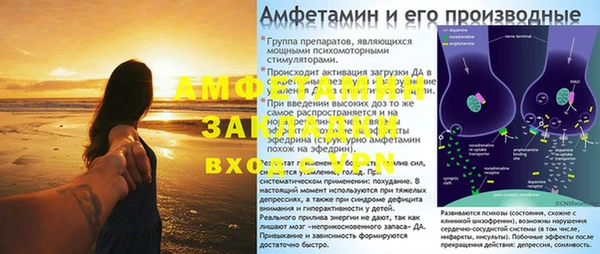 стаф Алексин
