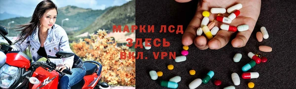 шишки Приозерск